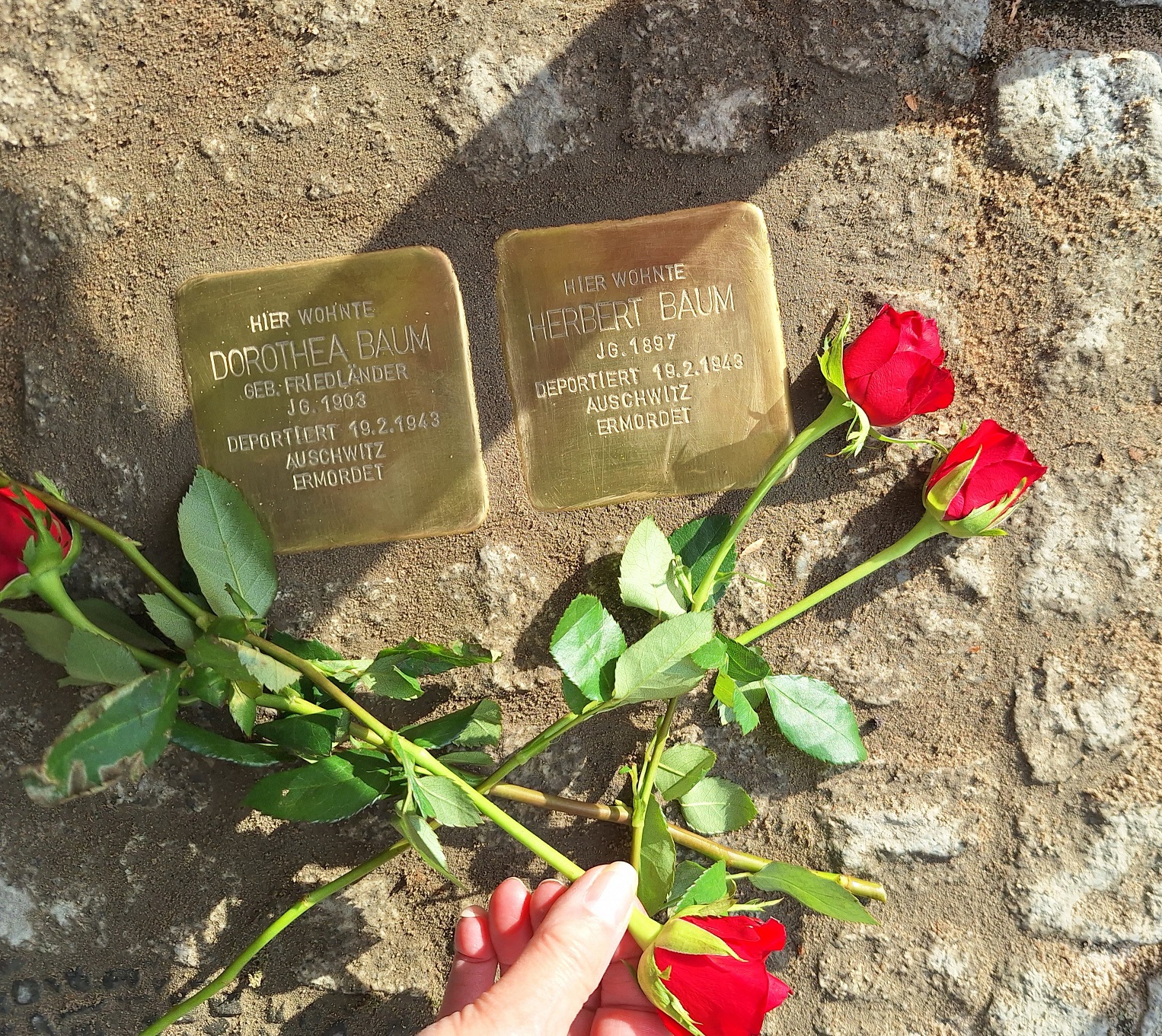 Neuer Ort der Erinnerung Stolpersteine in der Münsterlandstr 42