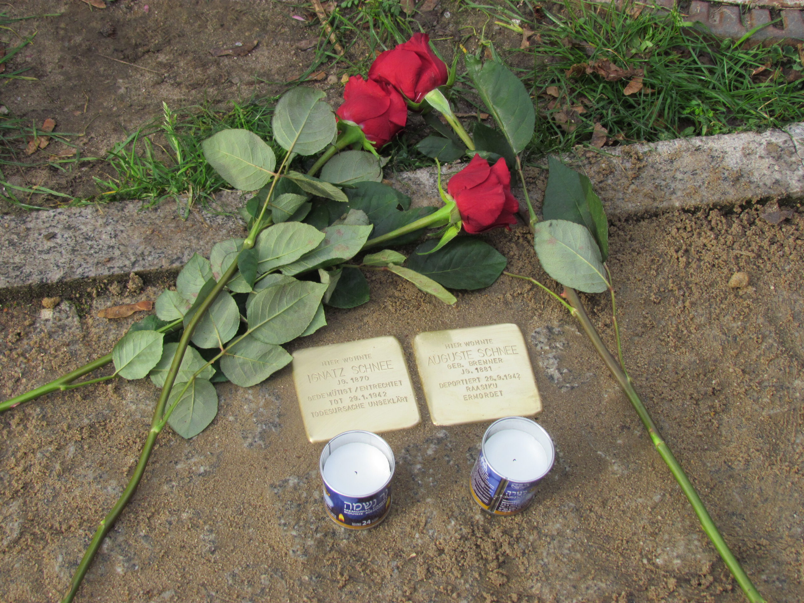 Nahaufnahme der fertig verlegten Stolpersteine eingerahmt von Rosen und zwei Kerzen