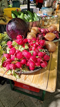Radieschen, Gurken, Zwiebeln und ein Kopf Rotkohl liegen auf einem Tisch in der Sonne.