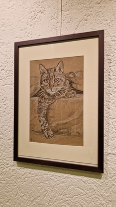 Zeichnung einer Katze, die unter einer Decke hervorguckt.